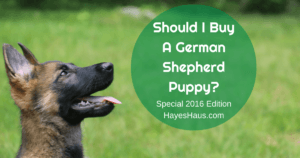 German Shepherd Puppy Pricing Guide 2016