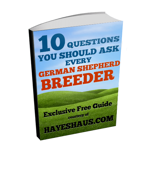 german shepherd breeder questions
