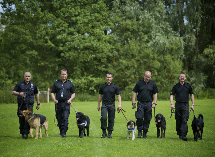 Police K9 Dogs at work